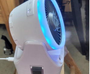 Ray T. review